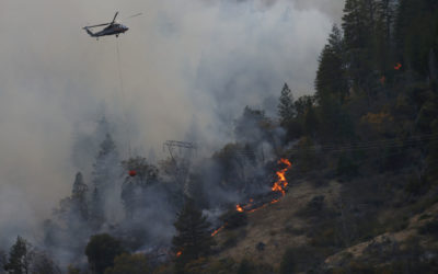 Federal judge: PG&E “unsafe” actions, “dismal” prevention, caused wildfires; orders suspension of dividends to shareholders